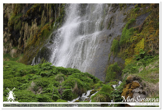 Seljalandsfoss IMG_5822