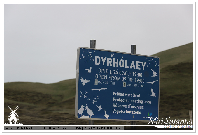 Reynisfjara IMG_6362