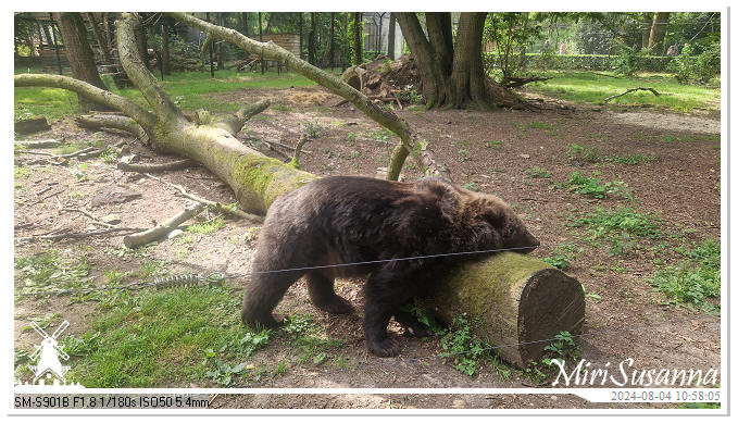 Ouwehands Dierenpark 20240804_105805