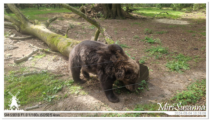 Ouwehands Dierenpark 20240804_105808