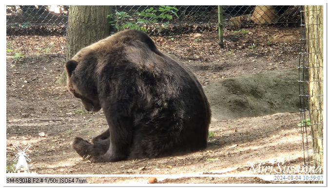 Ouwehands Dierenpark 20240804_105907