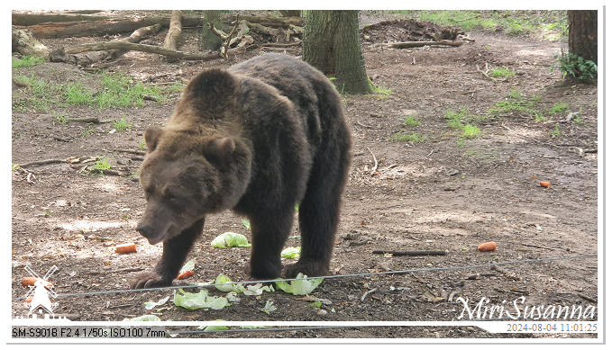 Ouwehands Dierenpark 20240804_110125