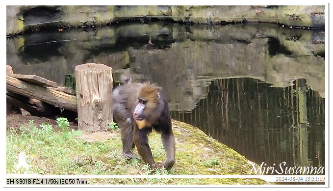 Ouwehands Dierenpark 20240804_133119