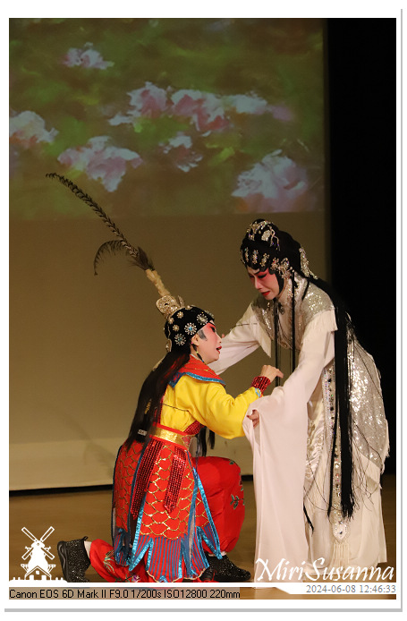 Cantonese Opera IMG_2252