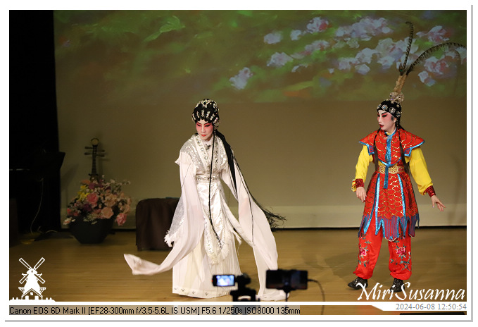 Cantonese Opera IMG_2282