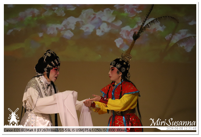 Cantonese Opera IMG_2294