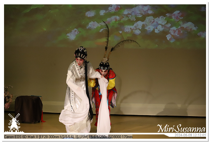 Cantonese Opera IMG_2295