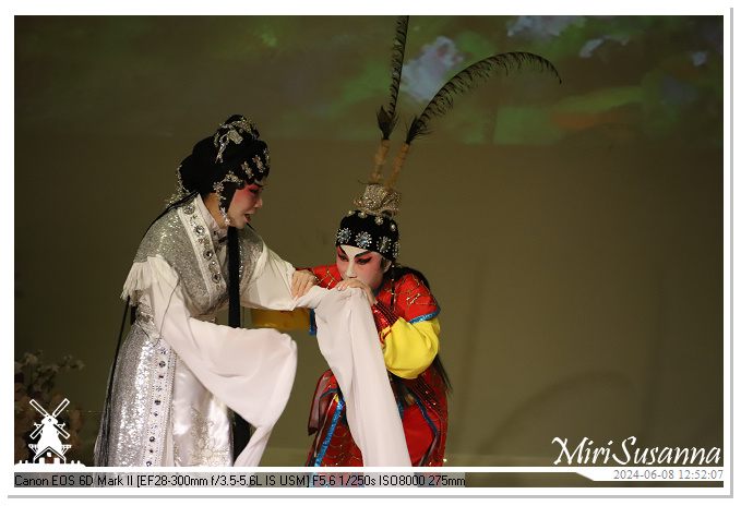 Cantonese Opera IMG_2297