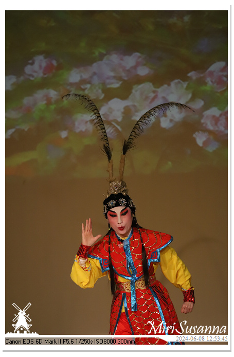 Cantonese Opera IMG_2313