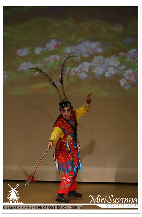 Cantonese Opera IMG_2346