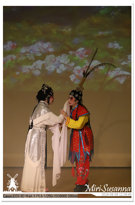 Cantonese Opera IMG_2365