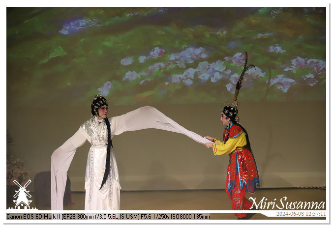 Cantonese Opera IMG_2373