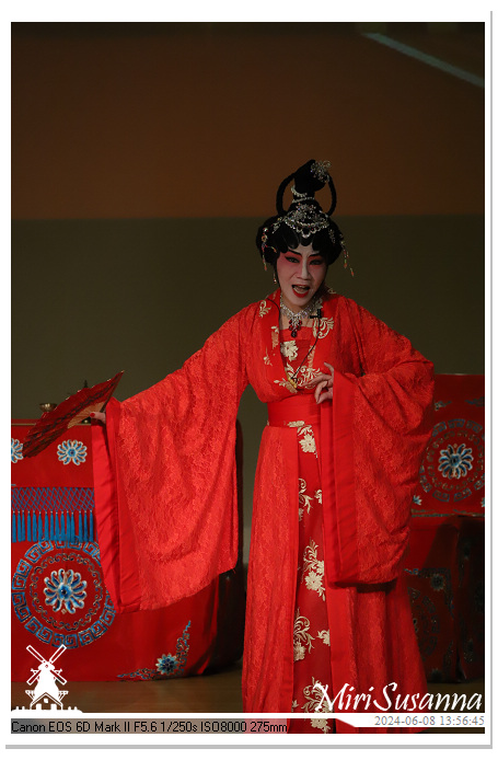 Cantonese Opera IMG_2438