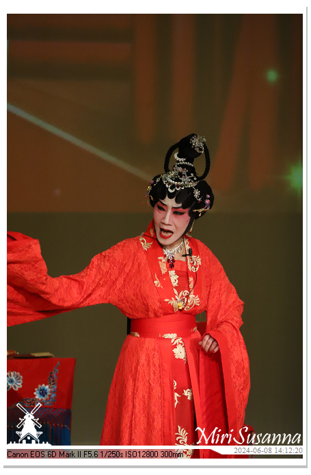 Cantonese Opera IMG_2539