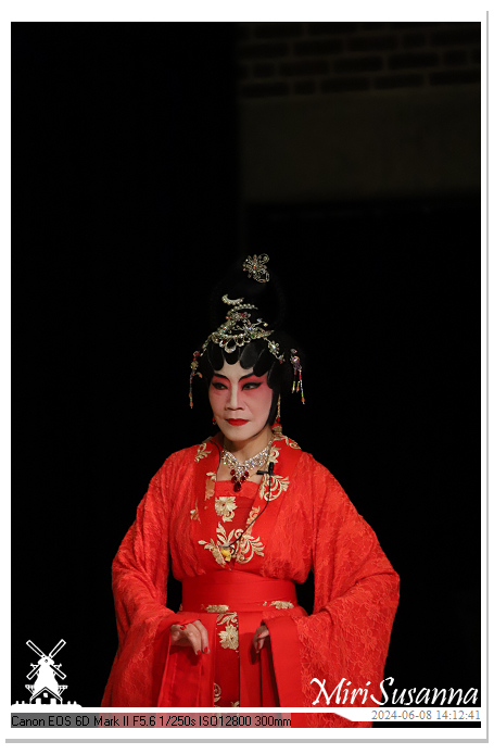 Cantonese Opera IMG_2542