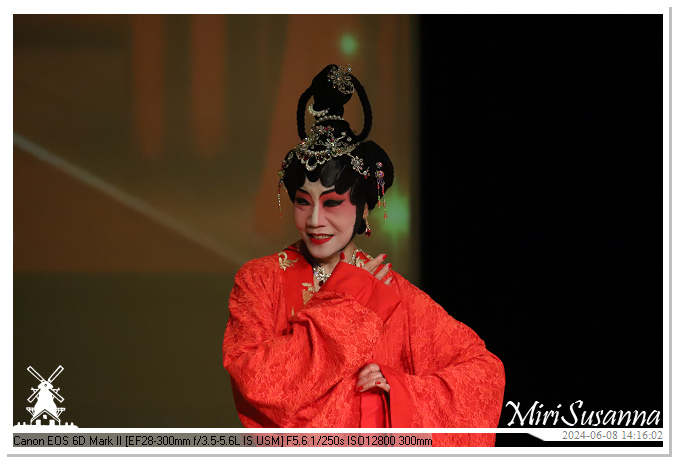 Cantonese Opera IMG_2568