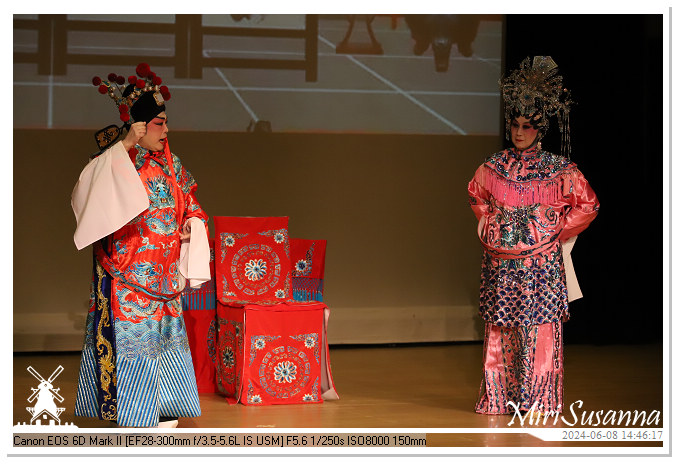 Cantonese Opera IMG_2739