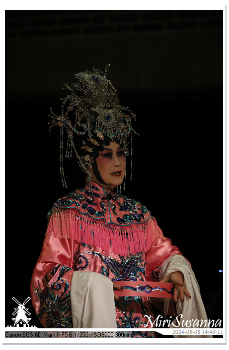 Cantonese Opera IMG_2749