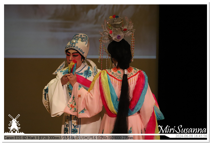 Cantonese Opera IMG_2918