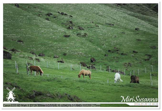 Katla Geopark IMG_6624