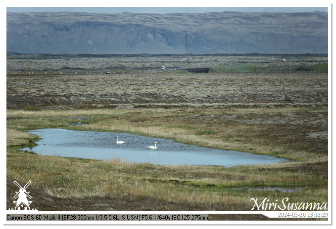 Katla Geopark IMG_6721