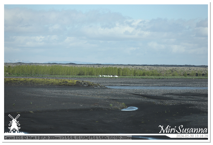 Katla Geopark IMG_6727