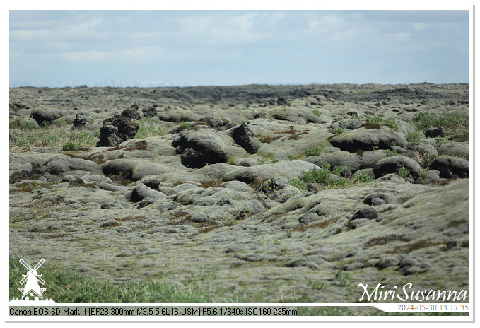 Eldhraun Lava Fields IMG_6734