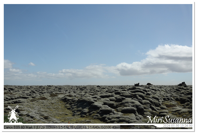 Eldhraun Lava Fields IMG_6754