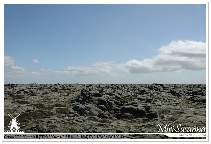 Eldhraun Lava Fields IMG_6755