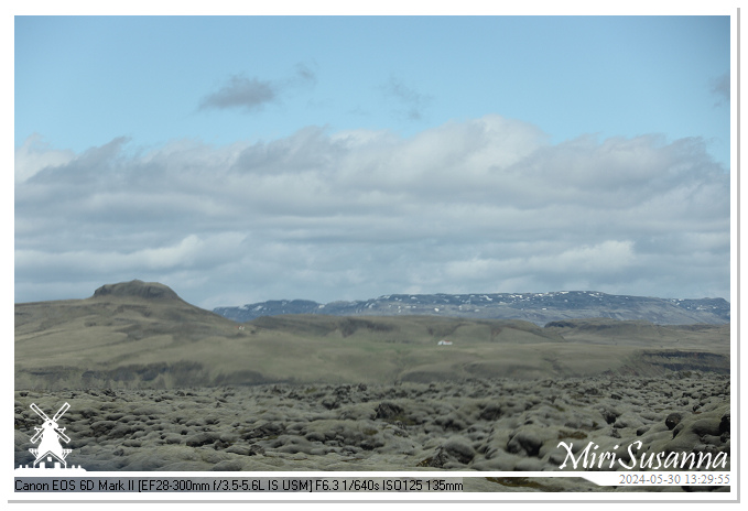 Eldhraun Lava Fields IMG_6764