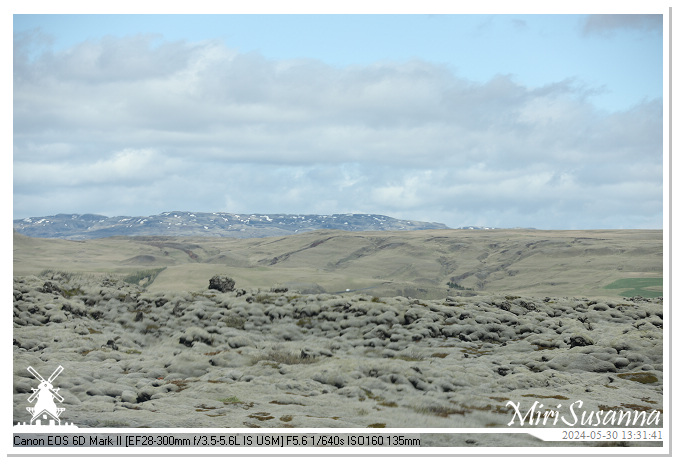 Eldhraun Lava Fields IMG_6765