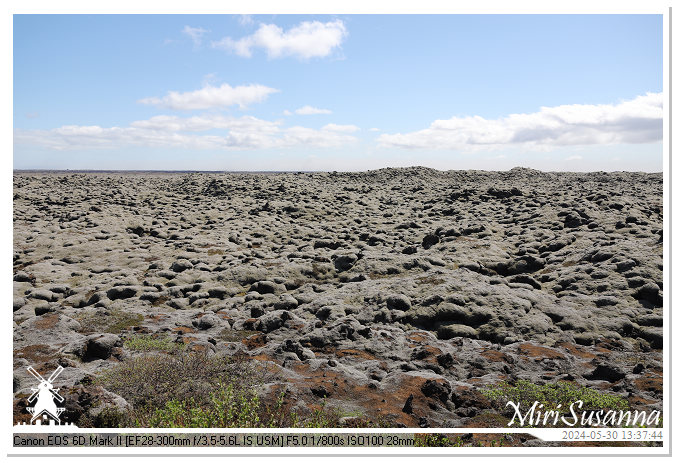 Eldhraun Lava Fields IMG_6770