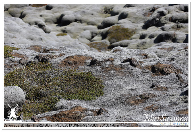 Eldhraun Lava Fields IMG_6772