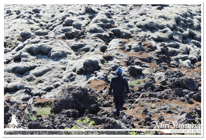 Eldhraun Lava Fields IMG_6775