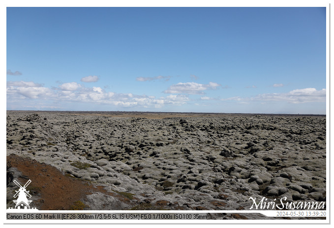 Eldhraun Lava Fields IMG_6777