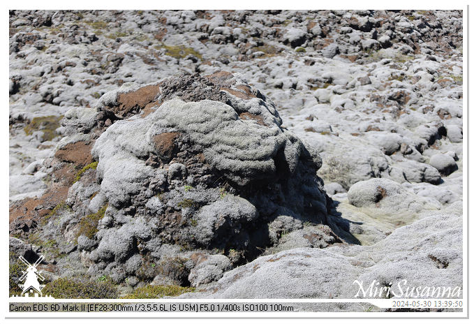 Eldhraun Lava Fields IMG_6779