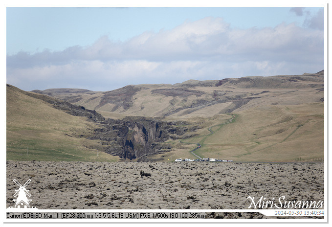 Eldhraun Lava Fields IMG_6784