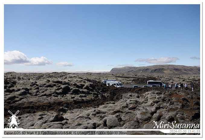 Eldhraun Lava Fields IMG_6788