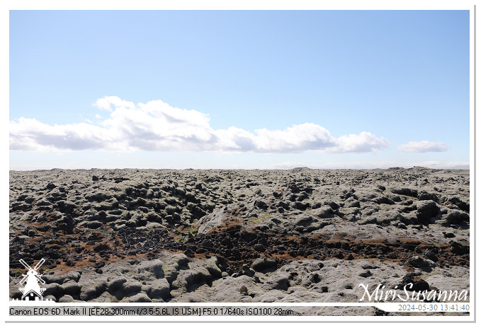 Eldhraun Lava Fields IMG_6789