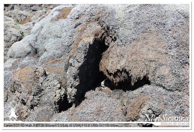 Eldhraun Lava Fields IMG_6799