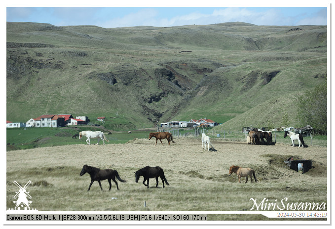 Katla Geopark IMG_6858