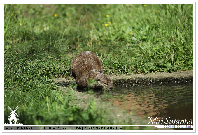 Beekse Bergen IMG_8538