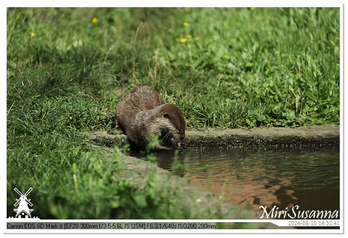 Beekse Bergen IMG_8539