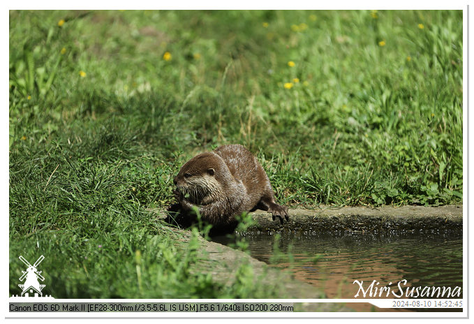 Beekse Bergen IMG_8541