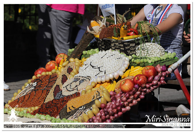 Fruitcorso Tiel 2024 IMG_0349