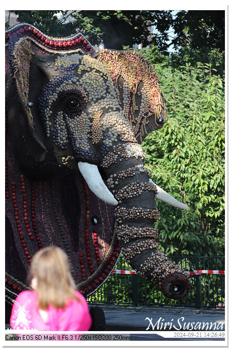 Fruitcorso Tiel 2024 IMG_0514