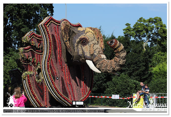 Fruitcorso Tiel 2024 IMG_0522