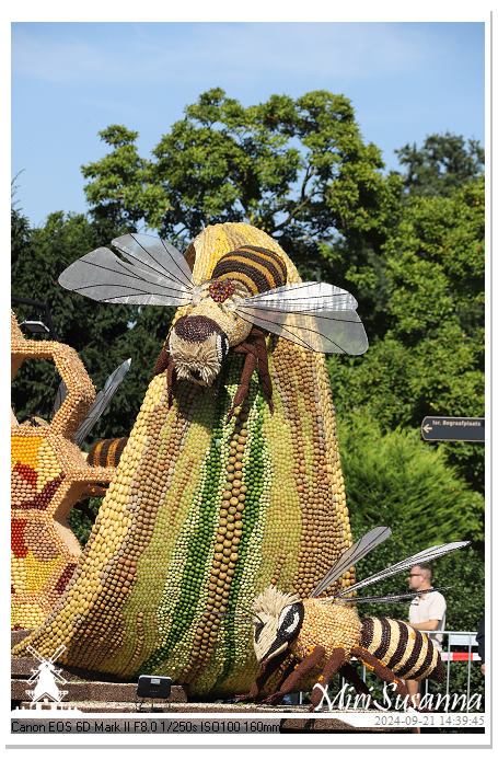 Fruitcorso Tiel 2024 IMG_0606