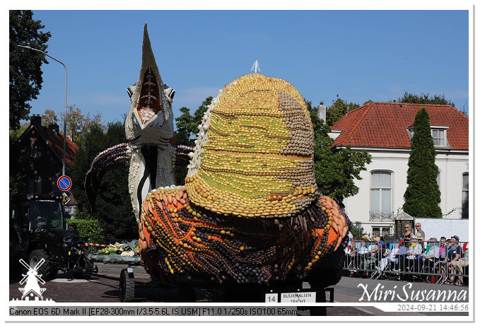 Fruitcorso Tiel 2024 IMG_0660