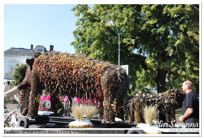 Fruitcorso Tiel 2024 IMG_0688